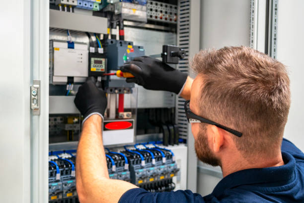 Best Affordable Electrician  in Sauk Centre, MN