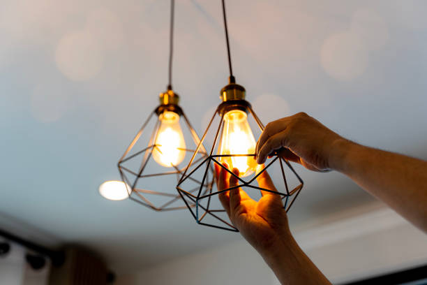 Best Ceiling Fan Installation Electrician  in Sauk Centre, MN