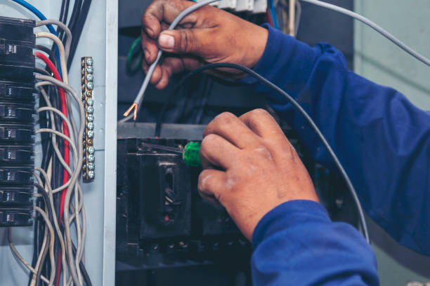 Best Electric Panel Repair  in Sauk Centre, MN