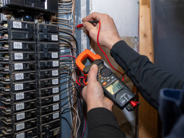 Best Electrical Wiring Services  in Sauk Centre, MN