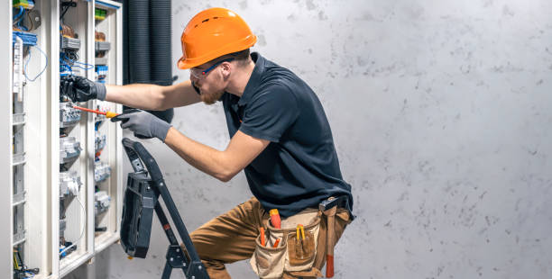 Best Local Electrician Companies  in Sauk Centre, MN